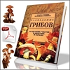 Чувствовала, Необъяснимо, но факт: Белый шум (2007)TVR вне